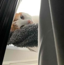 User Profile: earthtokitt