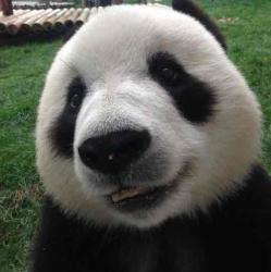 User Profile: purpleWatermelon8470
