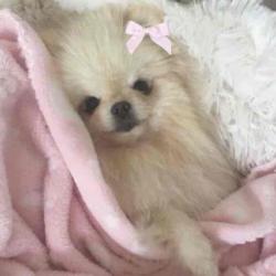 User Profile: mmentoos
