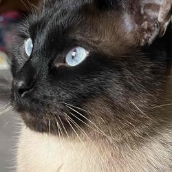 User Profile: courageousSea9764
