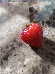 User Profile: StrawberryRose13