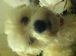 User Profile: Olivia512