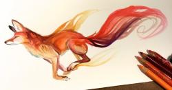 User Profile: firefury