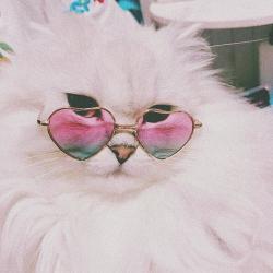 User Profile: Winsstar