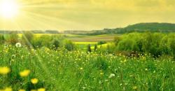 User Profile: brightnature