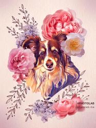 User Profile: LilRedFox