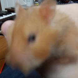 User Profile: sackofrocks