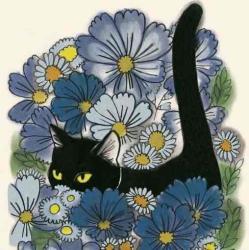User Profile: wittyBlueberry9954