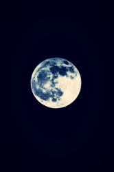 User Profile: SincerelyMoon