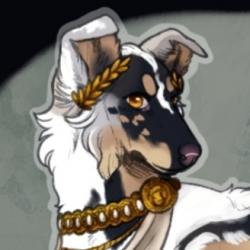 User Profile: Eny0