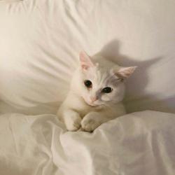User Profile: CharlotteZ