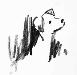 User Profile: puppiesowo1296