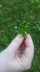 User Profile: optimisticNectarine3923