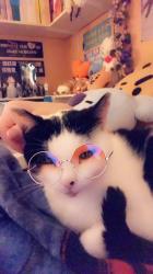 User Profile: ajennt13