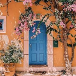 User Profile: GloomyFlower