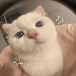 User Profile: httpmarji