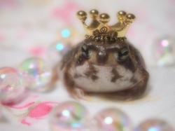 User Profile: anamiko