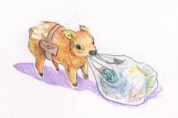 User Profile: QueenDaffodil