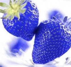 User Profile: blueStrawberries2960