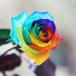 User Profile: BeautifullyBroken5677