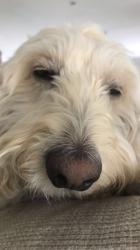 User Profile: adventurousSugar959