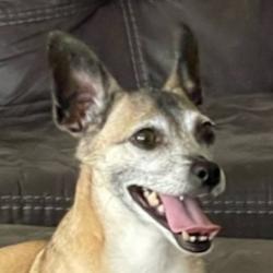 User Profile: Liruu