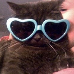 User Profile: he11okitty