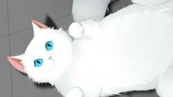 User Profile: notsosecret707