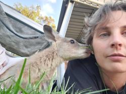 User Profile: WanderingPaw