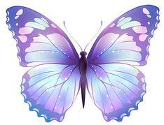 User Profile: imaginativeWillow1834