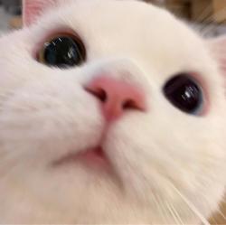 User Profile: jamesistired