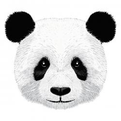 User Profile: sweeteli