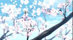 User Profile: ainarchan